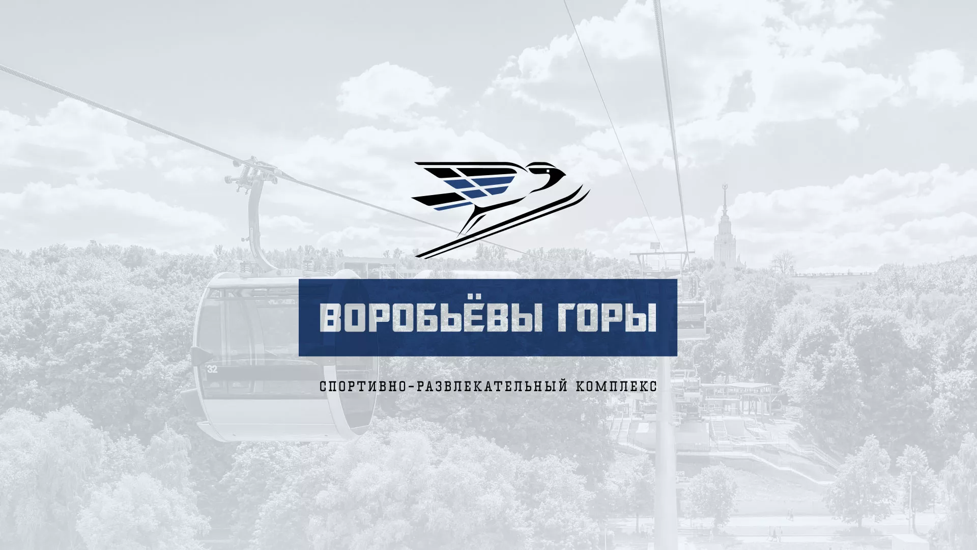 Разработка сайта в Задонске для спортивно-развлекательного комплекса «Воробьёвы горы»